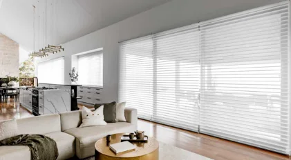 Sala con rollers modernos en ventanas